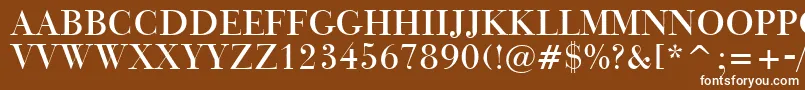 BauerBodoniTitlingBt-Schriftart – Weiße Schriften auf braunem Hintergrund