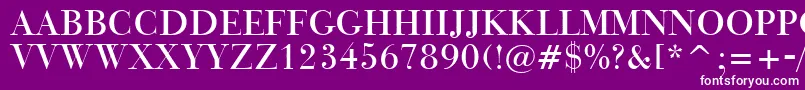 フォントBauerBodoniTitlingBt – 紫の背景に白い文字