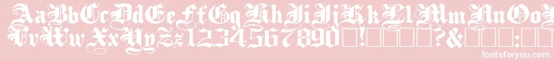 PlainBlackWide Font – White Fonts on Pink Background