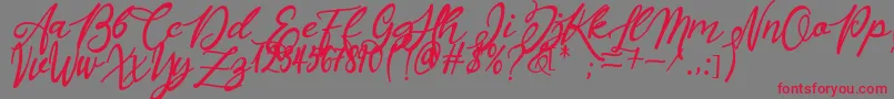 Masyieta Font – Red Fonts on Gray Background