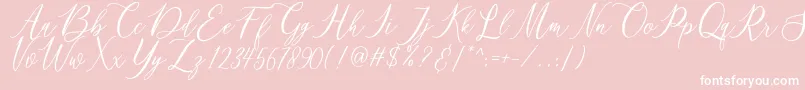 matania-Schriftart – Weiße Schriften auf rosa Hintergrund