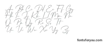 Обзор шрифта Mathanifo Script dafont