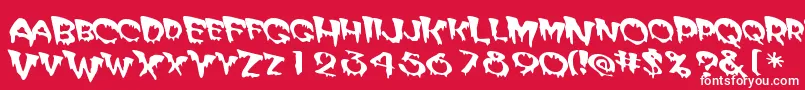 Matte    Font – White Fonts on Red Background