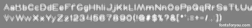 MAVERICK Font – White Fonts on Gray Background