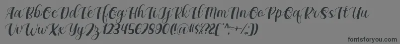 Maxeva by 7NTypes D Font – Black Fonts on Gray Background