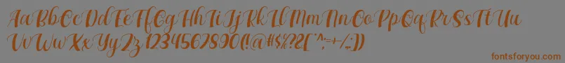 フォントMaxeva by 7NTypes D – 茶色の文字が灰色の背景にあります。
