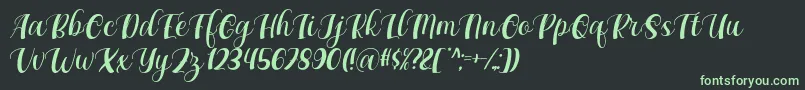 フォントMaxeva by 7NTypes D – 黒い背景に緑の文字