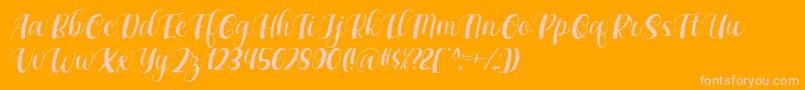 フォントMaxeva by 7NTypes D – オレンジの背景にピンクのフォント