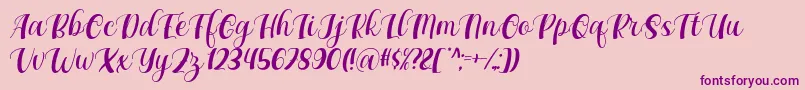 Maxeva by 7NTypes D Font – Purple Fonts on Pink Background