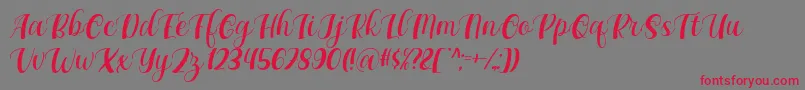 Maxeva by 7NTypes D Font – Red Fonts on Gray Background