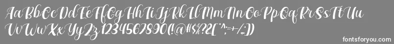 Maxeva by 7NTypes D Font – White Fonts on Gray Background