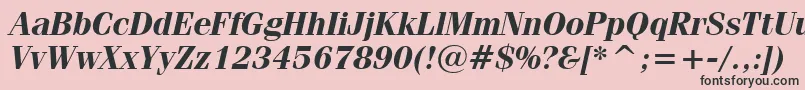 FeniceBoldItalicBt Font – Black Fonts on Pink Background