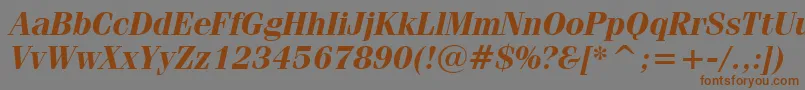 FeniceBoldItalicBt Font – Brown Fonts on Gray Background