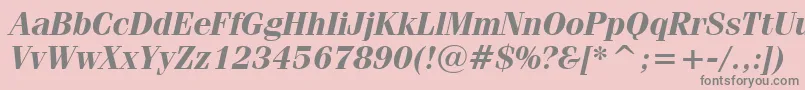 FeniceBoldItalicBt Font – Gray Fonts on Pink Background