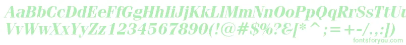 FeniceBoldItalicBt Font – Green Fonts