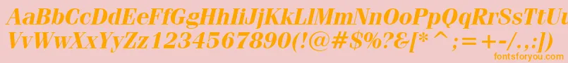 FeniceBoldItalicBt Font – Orange Fonts on Pink Background