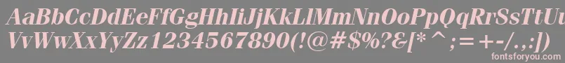 FeniceBoldItalicBt Font – Pink Fonts on Gray Background