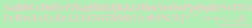 FeniceBoldItalicBt Font – Pink Fonts on Green Background