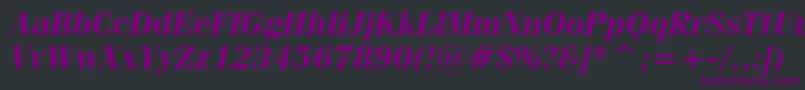 FeniceBoldItalicBt Font – Purple Fonts on Black Background