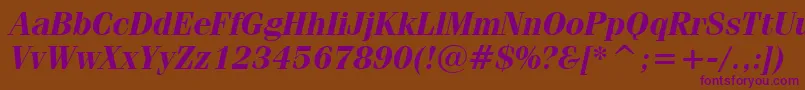 FeniceBoldItalicBt Font – Purple Fonts on Brown Background