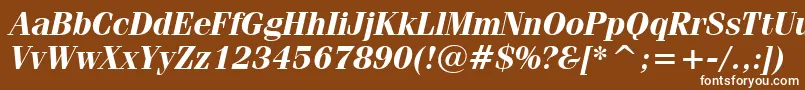 FeniceBoldItalicBt Font – White Fonts on Brown Background
