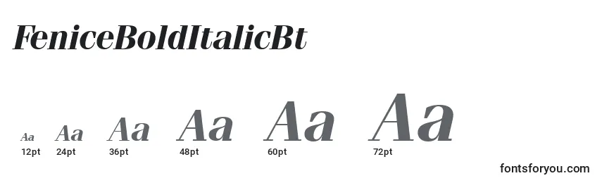 FeniceBoldItalicBt Font Sizes
