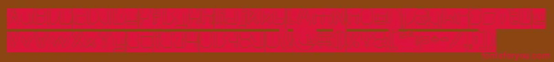MAXIMUM KILOMETER Inverse Font – Red Fonts on Brown Background