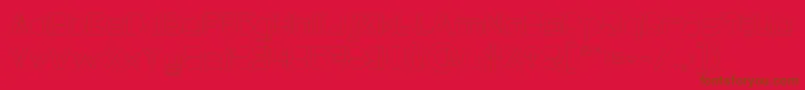 MAXIMUM KILOMETER Light Font – Brown Fonts on Red Background