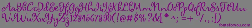 Шрифт maya – фиолетовые шрифты на сером фоне