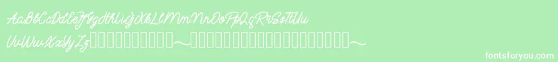 mayasarilah Font – White Fonts on Green Background
