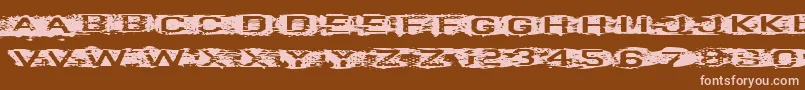 VtksCurve Font – Pink Fonts on Brown Background