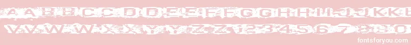 VtksCurve Font – White Fonts on Pink Background