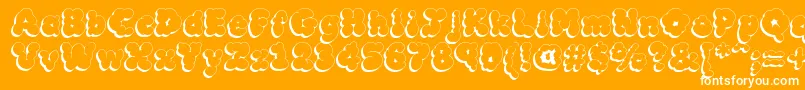 MCKLSH   Font – White Fonts on Orange Background