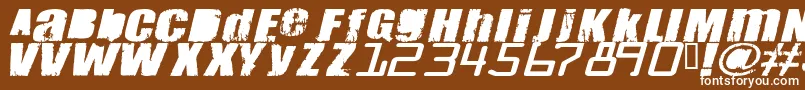フォントMEANT    – 茶色の背景に白い文字