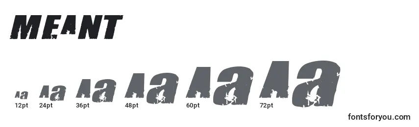 MEANT    (133923) Font Sizes