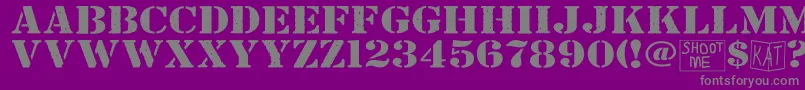 フォントBndyylwsolid – 紫の背景に灰色の文字