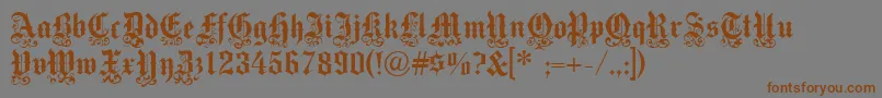 Medici Text Font – Brown Fonts on Gray Background