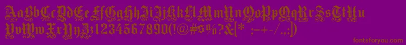 Medici Text Font – Brown Fonts on Purple Background