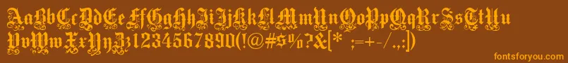 Medici Text Font – Orange Fonts on Brown Background