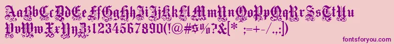 Medici Text Font – Purple Fonts on Pink Background