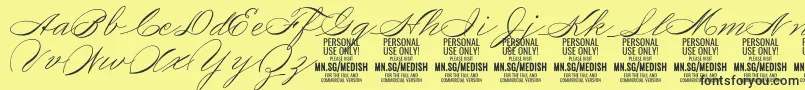 MedishScript PERSONAL USE ONLY Font – Black Fonts on Yellow Background