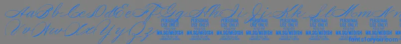 fuente MedishScript PERSONAL USE ONLY – Fuentes Azules Sobre Fondo Gris