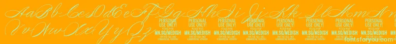 MedishScript PERSONAL USE ONLY Font – Green Fonts on Orange Background