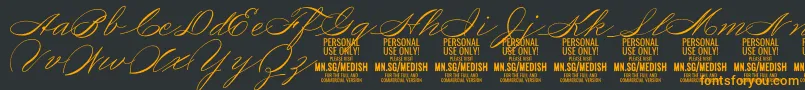 MedishScript PERSONAL USE ONLY-Schriftart – Orangefarbene Schriften auf schwarzem Hintergrund
