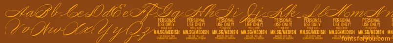 フォントMedishScript PERSONAL USE ONLY – オレンジ色の文字が茶色の背景にあります。