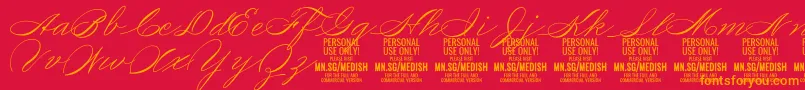 MedishScript PERSONAL USE ONLY Font – Orange Fonts on Red Background