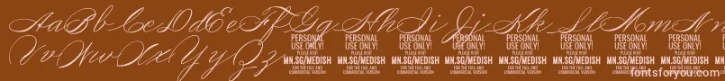 MedishScript PERSONAL USE ONLY Font – Pink Fonts on Brown Background