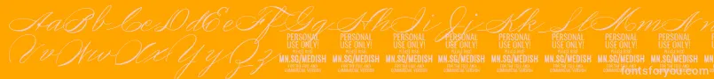 MedishScript PERSONAL USE ONLY Font – Pink Fonts on Orange Background