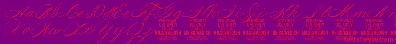 Шрифт MedishScript PERSONAL USE ONLY – красные шрифты на фиолетовом фоне