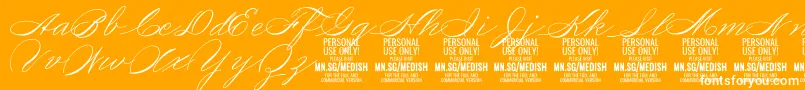 MedishScript PERSONAL USE ONLY Font – White Fonts on Orange Background